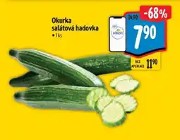 Albert Okurka salátová hadovka nabídka