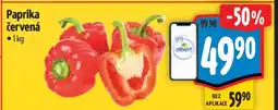 Albert Paprika červená nabídka