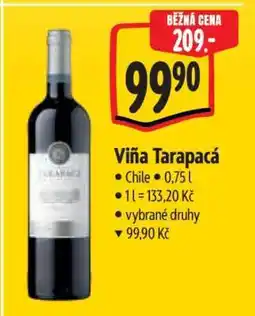 Albert Viña Tarapacá nabídka