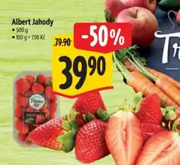 Albert Albert Jahody nabídka