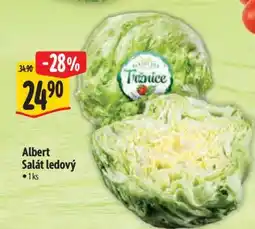 Albert Albert Salát ledový nabídka