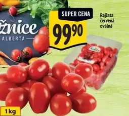 Albert Rajčata červená oválná nabídka