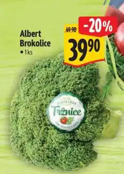 Albert Albert Brokolice nabídka