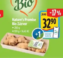 Albert Nature's Promise Bio Zázvor nabídka