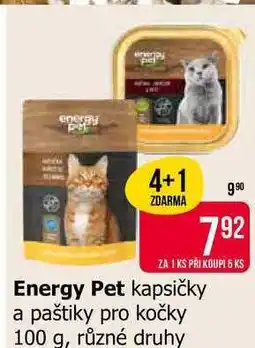 Teta Energy Pet kapsičky a paštiky pro kočky 100 g, různé druhy nabídka