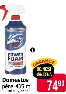 Teta Domestos pěna nabídka