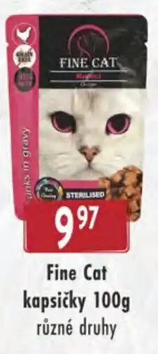 Qanto Fine Cat kapsičky nabídka