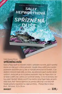 Knižní klub Sally Hepworthová Spřízněná duše nabídka