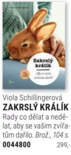Knižní klub Viola Schillingerová ZAKRSLÝ KRÁLÍK nabídka