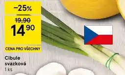 Tesco Cibule svazková nabídka