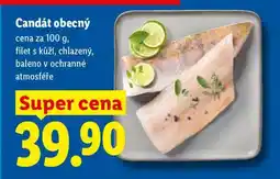 Lidl Candát obecný nabídka