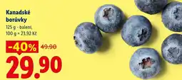 Lidl Kanadské borůvky nabídka
