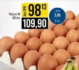 Jip Vejce M nabídka