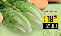 Jip Salát Little Gem nabídka