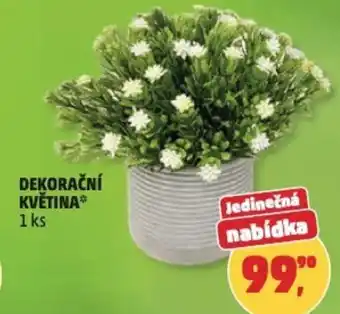 Penny Market Dekorační květina nabídka