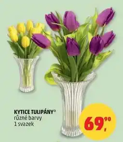 Penny Market Kytice tulipány nabídka