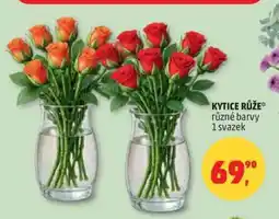 Penny Market Kytice Růže nabídka