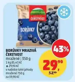 Penny Market BORŮVKY MRAZIVÁ ČERSTVOST nabídka