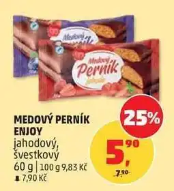 Penny Market MEDOVÝ PERNÍK ENJOY nabídka