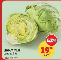 Penny Market Ledový salát nabídka