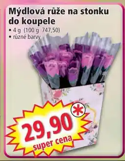 Norma Mýdlová růže na stonku do koupele nabídka