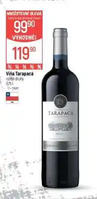 Globus Viña Tarapacá nabídka