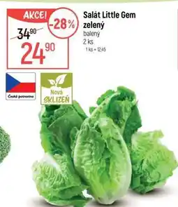 Globus Salát Little Gem zelený nabídka