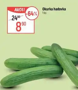 Globus Okurka hadovka nabídka