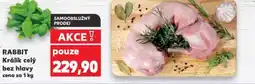 Kaufland RABBIT Králík celý bez hlavy nabídka
