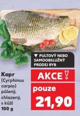 Kaufland Kapr nabídka