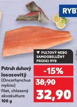 Kaufland Pstruh duhový lososovitý nabídka