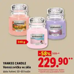 Lidl YANKEE CANDLE Vonná svíčka ve skle nabídka