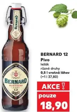 Kaufland BERNARD 12 Pivo ležák nabídka