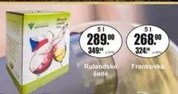 Adam Frankovka nabídka
