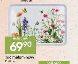 Hruška Tác melaminovy 21x14 cm nabídka