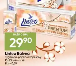 Hruška Linteo Balvna hygienické papírové kapesníky 10x10ks 4-vrstvé nabídka