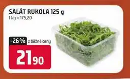 Trefa SALÁT RUKOLA nabídka