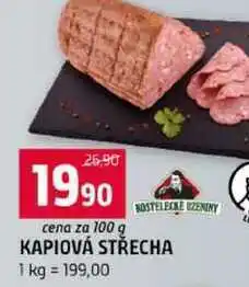 Terno KAPIOVÁ STŘECHA nabídka