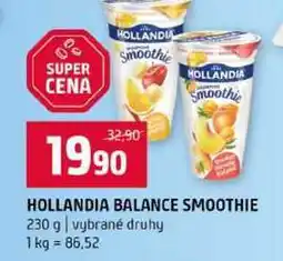 Terno HOLLANDIA BALANCE SMOOTHIE 230 g vybrané druhy nabídka