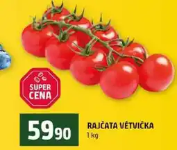 Terno RAJČATA VĚTVIČKA nabídka
