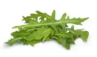 Terno Rukola 100g nabídka