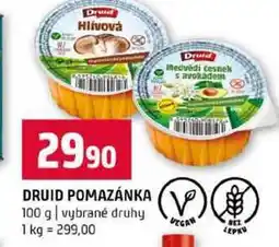 Terno DRUID POMAZÁNKA 100 g vybrané druhy nabídka