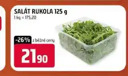 Terno SALÁT RUKOLA nabídka