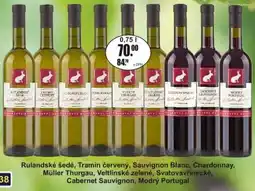 Adam Rulandské šedé, Tramín červený, Sauvignon Blanc, Chardonnay, Müller Thurgau, Veltlínské zelené, Svatovavřinecké nabídka