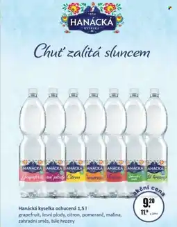 Adam Hanácká kyselka ochucená nabídka