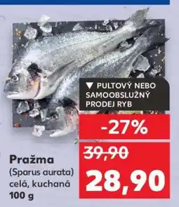 Kaufland Pražma (Sparus aurata) nabídka