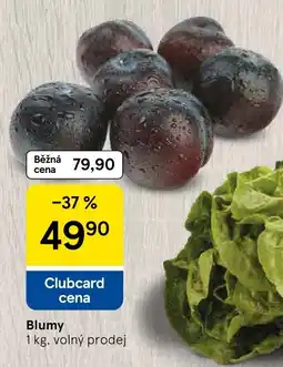 Tesco Blumy nabídka