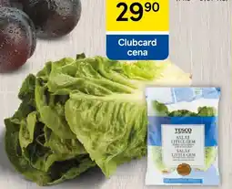 Tesco Tesco Salát Little gem nabídka