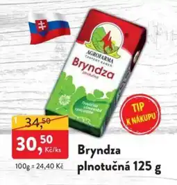MP Krásno Bryndza plnotučná nabídka
