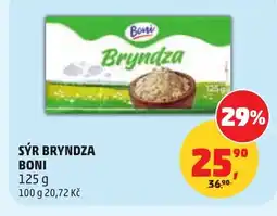 Penny Market Sýr bryndza boni nabídka
